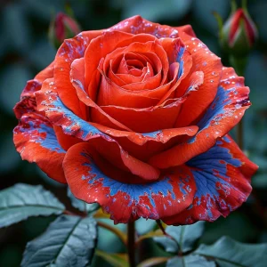 Роза Сикрет Гарден купить по цене от 619р. в интернет-магазине «Посадика» с доставкой почтой в в Камбаркае и по всей России – [изображение №1].