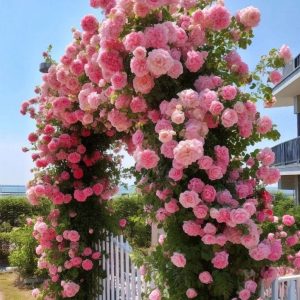 Роза Пастель Розе купить по цене от 605р. в интернет-магазине «Посадика» с доставкой почтой в в Камбаркае и по всей России – [изображение №1].